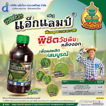 Artboard 1AW แอ็กแลมป์ AG ปี67 Web